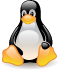 linux big